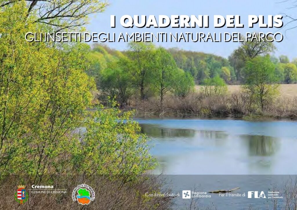 Dedicato agli insetti degli ambienti naturali il primo numero de “I Quaderni del PLIS” Pubblicazione volta a stimolare l’attenzione verso l’ambiente protetto del Parco del Po e del Morbasco