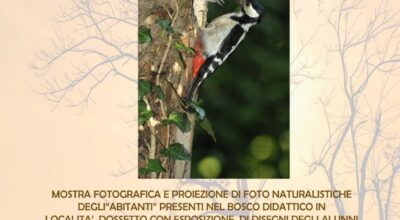 MOSTRA FOTOGRAFICA A CASTELVERDE SULLA FAUNA LOCALE – OCCHI SULLA NATURA – guardare, amare, rispettare (dal 18 al 30 ottobre presso Biblioteca comunale di Castelverde)