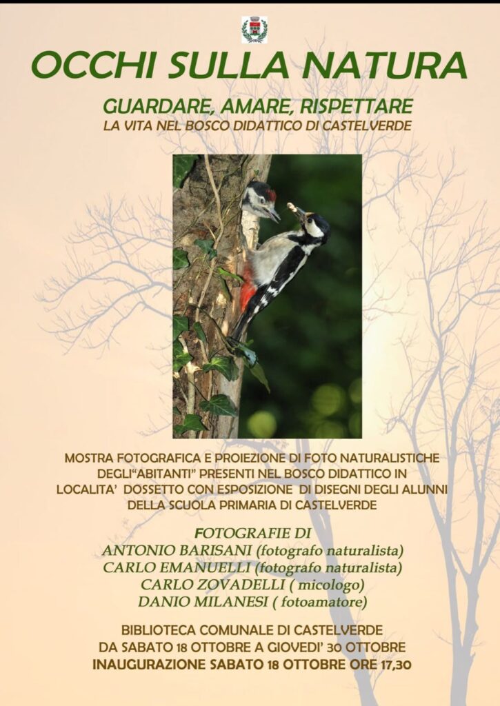 MOSTRA FOTOGRAFICA A CASTELVERDE SULLA FAUNA LOCALE – OCCHI SULLA NATURA – guardare, amare, rispettare (dal 18 al 30 ottobre presso Biblioteca comunale di Castelverde)
