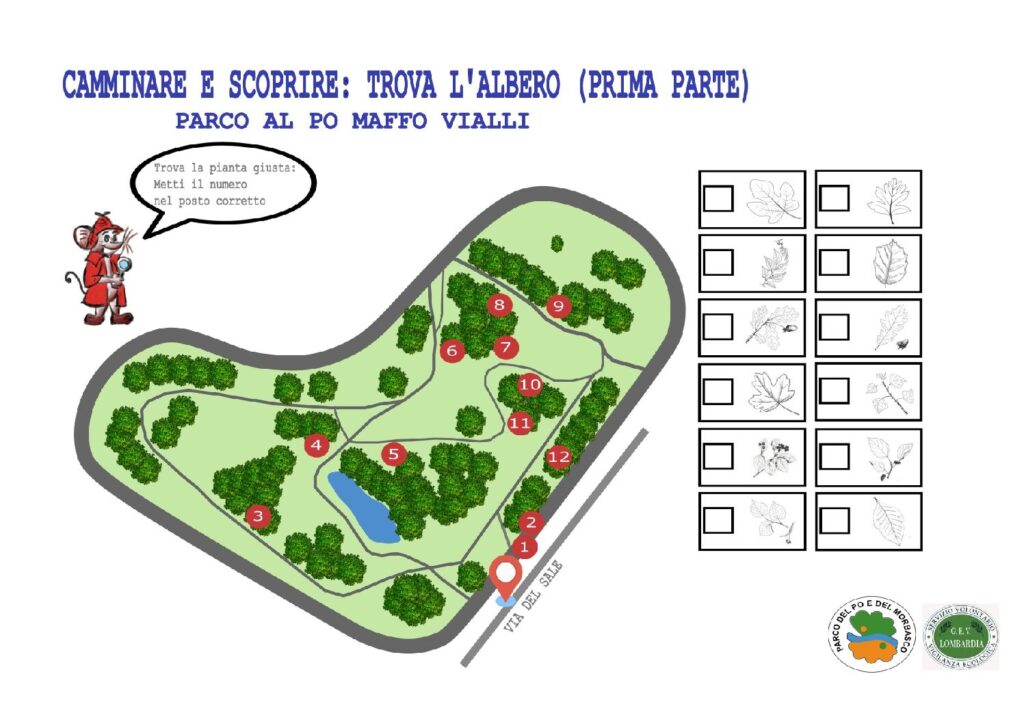 CAMMINARE E SCOPRIRE : TROVA L’ALBERO (1° PARTE) – un nuovo progetto di M. Cristina Bertonazzi per conoscere la natura dei nostri parchi urbani