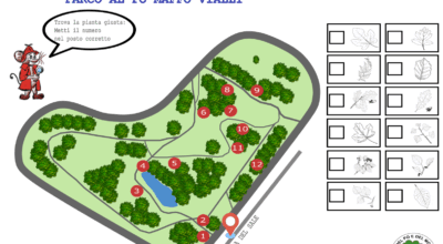 CAMMINARE E SCOPRIRE : TROVA L’ALBERO (1° PARTE) – un nuovo progetto di M. Cristina Bertonazzi per conoscere la natura dei nostri parchi urbani