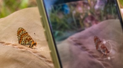 𝐒𝐭𝐚 𝐩𝐞𝐫 𝐩𝐚𝐫𝐭𝐢𝐫𝐞 𝐢𝐥 𝐁𝐢𝐨𝐁𝐥𝐢𝐭𝐳 𝐋𝐨𝐦𝐛𝐚𝐫𝐝𝐢𝐚 𝟐𝟎𝟐𝟔!