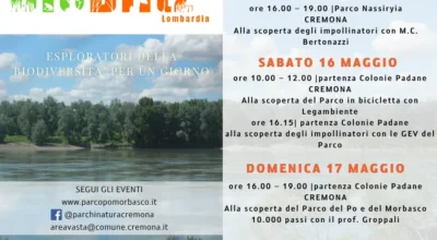 BIOLITZ – ESPLORATORI DELLA BIODIVERSITA’ PER UN GIORNO NEL PARCO DEL PO E DEL MORBASCO